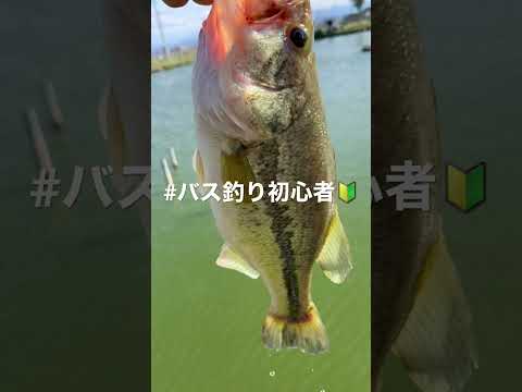 バス釣り初心者 #釣り初心者