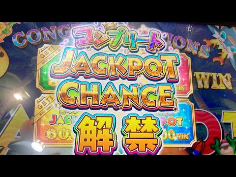 【カラコロッタ5】コンプリートJPC（2回目の挑戦）