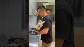 喵的水果三明治🐈🥪😋