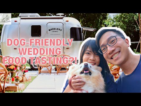 Pet-friendly Wedding Food Tasting?! | 狗狗友好试婚礼的菜的地方 [Vlog #32 Bride's Story 新娘故事]