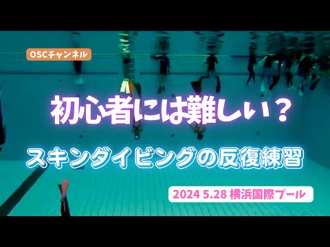 【初心者には難しい！？】スキンダイビングの反復練習とは？OSCスキンダイビング講習会（基礎編・応用実践編）の練習風景 in 横浜国際プール