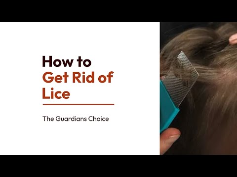 How to Kill and Get Rid of Head Lice | The Guardian's Choice