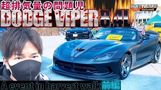 世界10台！排気量の問題児 ダッジ バイパーメデューサ！DODGE VIPER Medusa