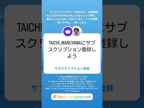 🐳マッコウクジラも言語を持っている！？