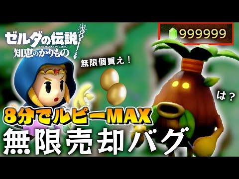 【知恵かり壊れた】８分でルピーMAX！？無限に無を売りつけて稼ぐ”無限売却詐欺バグ”徹底解説【ゼルダの伝説知恵のかりもの】【知恵のかりもの】