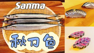 秋刀鱼(Sanma)寿司🍣刺身的处理方法！跟大家分享几个小技巧！How to make Sanma(Pike Mackerel )sushi and sashimi.