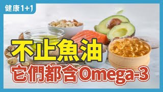 "不止魚油它們都含Omega-3" | 健康1+1 · 直播精選