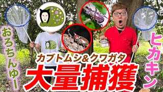 ヒカキン×おろちんゆーで本気の虫取り&森林伐採で奇跡が!?