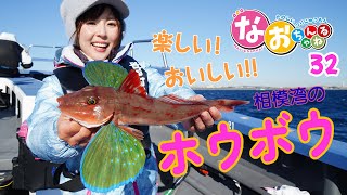 【ホウボウ釣りに初チャレンジ！】～第32回なおちゃんねる～