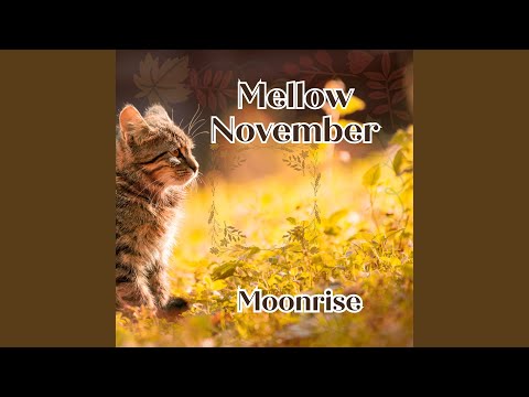 Mellow November