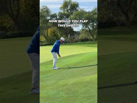 how would you play this shot??