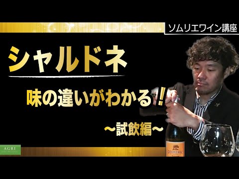 【ソムリエワイン講座】“シャルドネ” 味の違いがわかる！　～試飲編～　｜アグリワインチャンネル