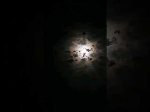 காதோரம் லோலாக்கு சங்கதி பாட😍🔥🔥🌛🌜