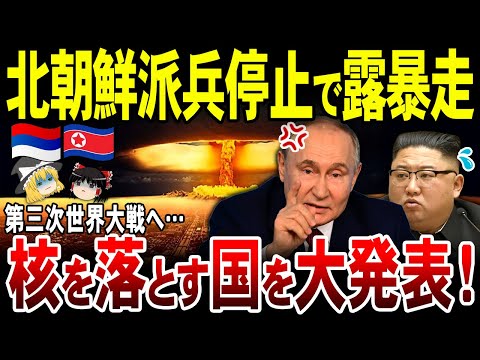 【ゆっくり解説】北朝鮮が派兵停止へ…ロシアは核使用国発表で大混乱のウクライナ戦争【総集編】