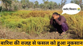 बारिश की वजह से फसल को हुआ नुकसान 😭😭 ll बर्बाद किसान ll vlog ll herry depan #kisan #farming