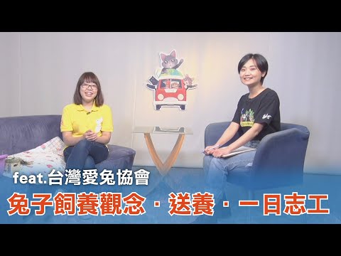 《台灣心事》EP100.20230202兔年兔子棄養潮？跟著 #台灣愛兔協會 認識正確的兔子飼養觀念