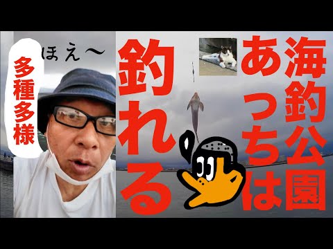 [初心者釣り日記] 浜名湖新居海釣り公園、あっちは思いがけずいろいろ釣れてびっくりな初心者