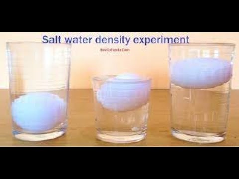 Salt Water Density Experiment