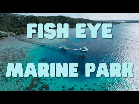 Our favorite dive spot in Guam! | Fish Eye Marine Park | Piti, Guam