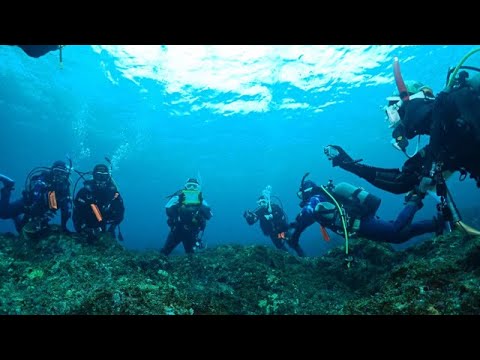 イワシを狙え！伊豆大島泊まりツアー