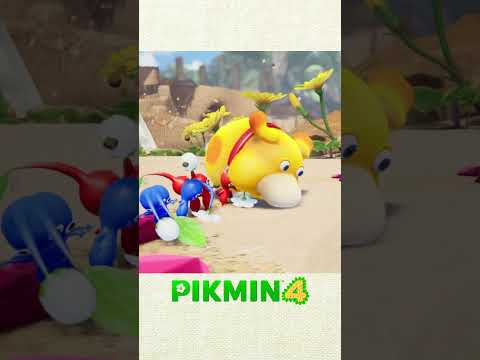 Pikmin 4 – Saluti estivi (Nintendo Switch)