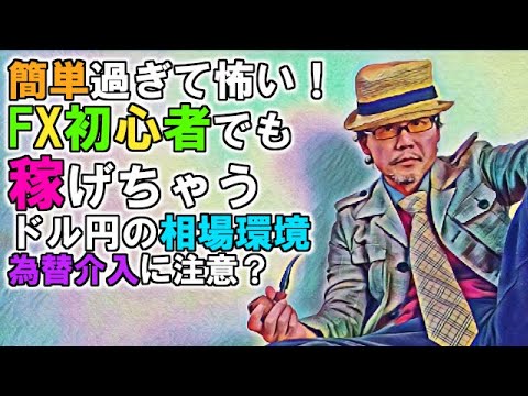 簡単過ぎて怖い！FX初心者でも稼げちゃうドル円の相場環境／為替介入に注意？