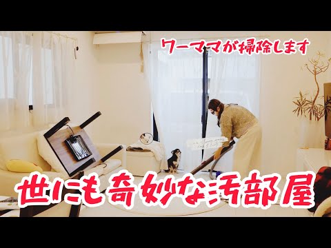 ズボラ主婦が汚部屋の片付け！汚部屋脱出したい片付けられない女リビング編