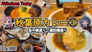 秋葉原カレーその3 グルメでおしゃれなランチカレー！激うま角煮カレー、独特な大人の味のカレーをご紹介します！