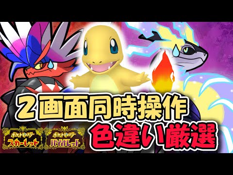 【ポケモンSV】２画面同時操作、ヒトカゲ色違い厳選