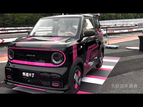 Geely Panda karting