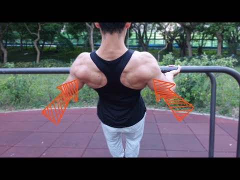 How to Train Your Rear Deltoid?