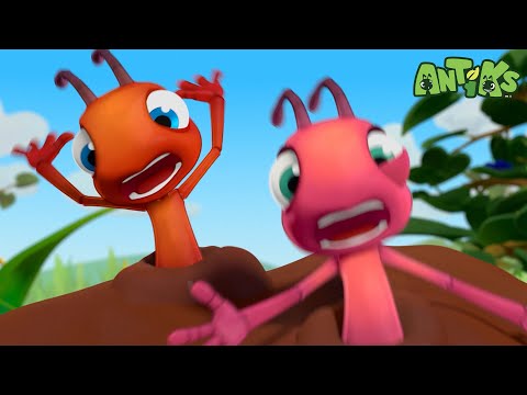 Meatball | Antiks 🐜 | Funny Cartoons for Kids