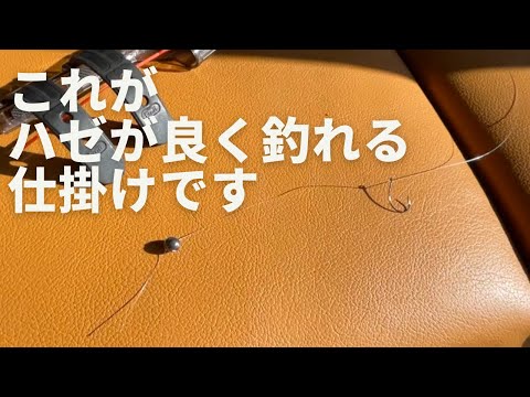 秋めいてきた川でハゼがとてもよく釣れる仕掛けでハゼ釣りをする