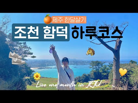 제주 한달살기 브이로그 | 조천함덕 해수욕장 맛집 & 당일치기 코스 🎒| 유랑노니