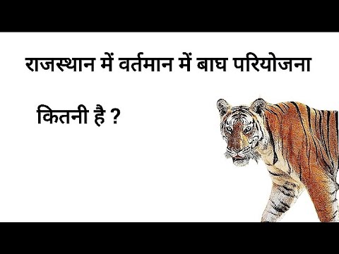 pashu Parichar // tiger project in Rajasthan , Rajasthan mein Bagh pariyojna ki sankhya ,