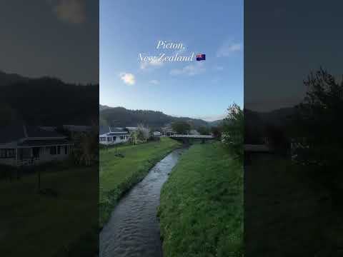 🇳🇿ニュージーランドの暮らし｜実にのどかな南島最北端の町ピクトン｜ちょっと日本っぽい｜Picton, New Zealand #shorts #ニュージーランド #newzealand