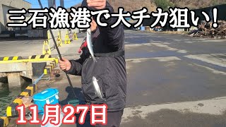 三石漁港で大チカ釣りをしました！