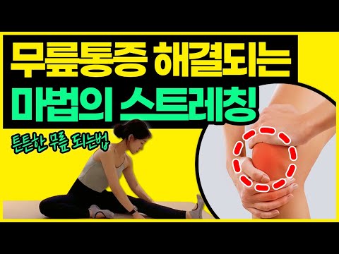 무릎통증 싹-사라지는 3분 스트레칭, 무릎강화운동