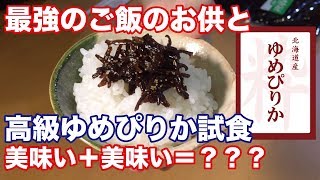 最強に美味いご飯のお供を最高のご飯と食べてみた結果がやばかった vol.9