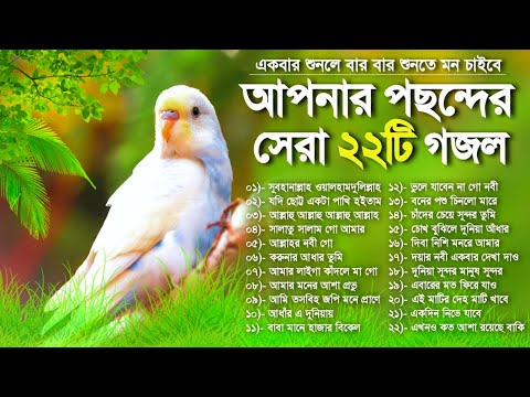 আপনার পছন্দের ২২টি বাছাই করা গজল | Top 22 Most Popular Bangla Gojol | বাংলা গজল | New Gojol | Gazal