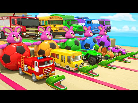 Finger Family + Baby Shark + Wheels On the Bus - Colorful slides - Baby Nursery Rhymes & Kids Songs