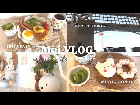 【vlog】毎日が代わり映えしないけどマイペースに楽しむ6 days🏠💐🍩☕️