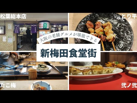 【大阪梅田】大阪老舗グルメが一気に堪能できる新梅田食道街おすすめの|串カツ|焼き鳥|おでん|餃子