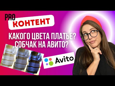 Лучшие примеры вирусного контента. Как продвигаться в соцсетях.