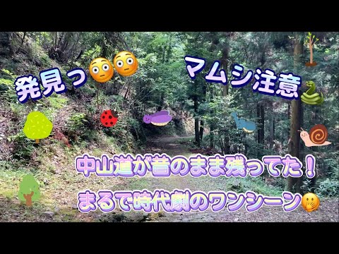 【発見っ😳】各務原市に江戸時代のままの中山道が残ってたっ！　そこは、まるで時代劇のワンシーンのような場所だったっ！？