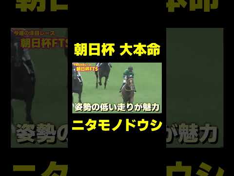 朝日杯FTSの本命　ニタモノドウシ　#競馬 #競馬予想 #朝日杯fs #朝日杯フューチュリティステークス