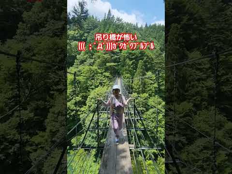 【スリル満点】吊り橋は怖い…　揺らしたらアカン　#寸又峡　#夢の吊橋