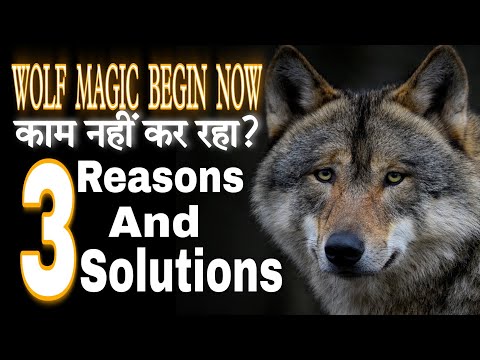 WOLF MAGIC BEGIN NOW काम नहीं करे तो क्या करे?