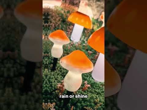 Solar Mushroom Light