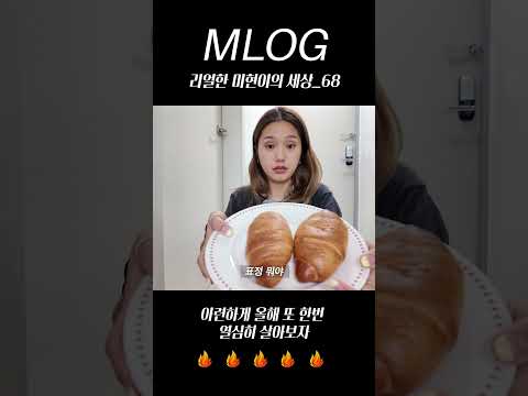 [밈PD|VLOG] mlog 리얼한 미현이의 세상_68/ 아련하게 올해 또 한번 열심히 살아보자🔥🔥🔥🔥🔥🔥 #vlog #mlog #shorts